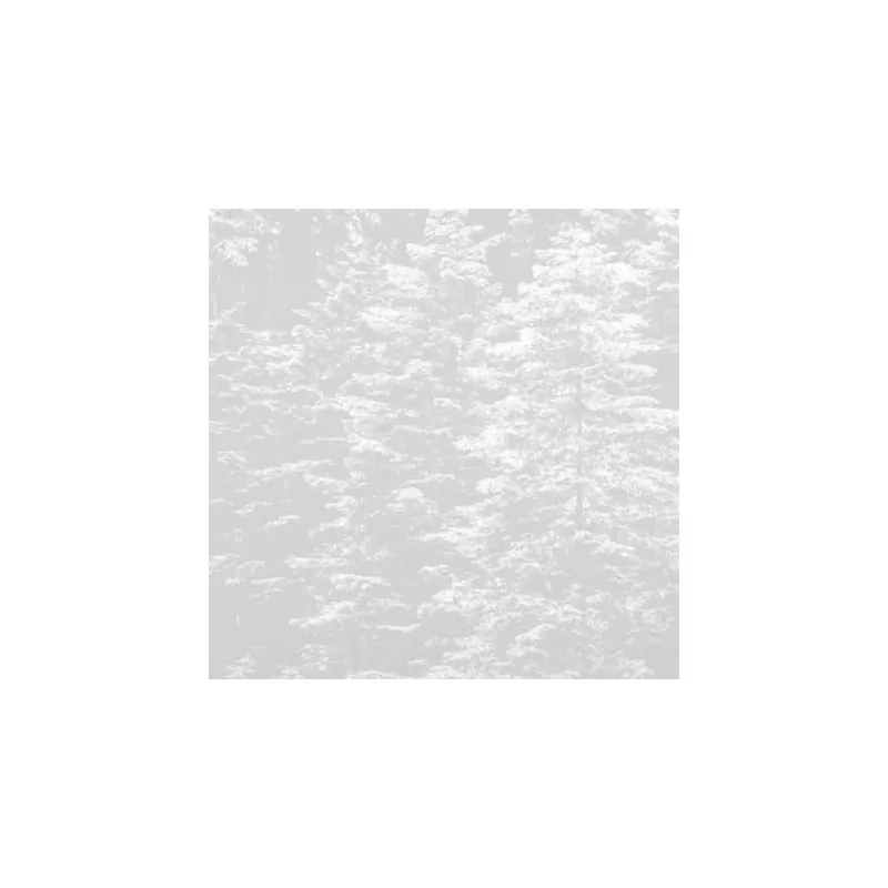 Biztonságos vásárlás Erdő mintás szürke színárnyalatú Vlies tapéta Fashion for walls 4 2553N71