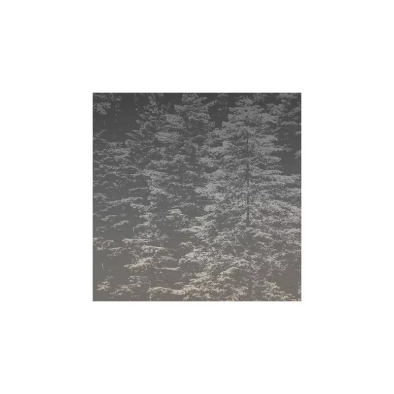 Utolsó esély Erdő mintás fekete színárnyalatú Vlies tapéta Fashion for walls 4 2553N72