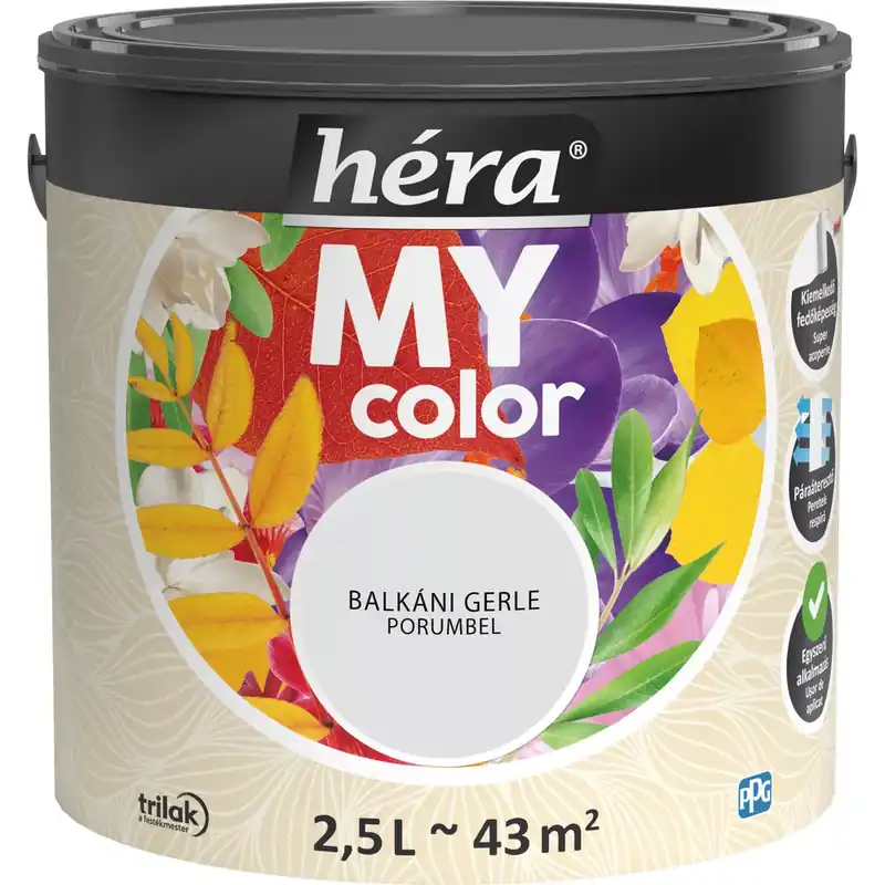 Héra My Color matt beltéri falfesték balkáni gerle színű 2,5l Outlet