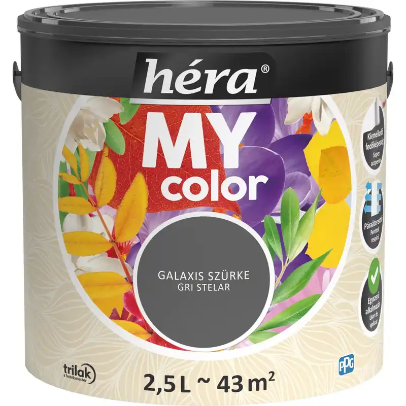 Biztonságos fizetés Héra My Color matt beltéri falfesték galaxis szürke színű 2,5l