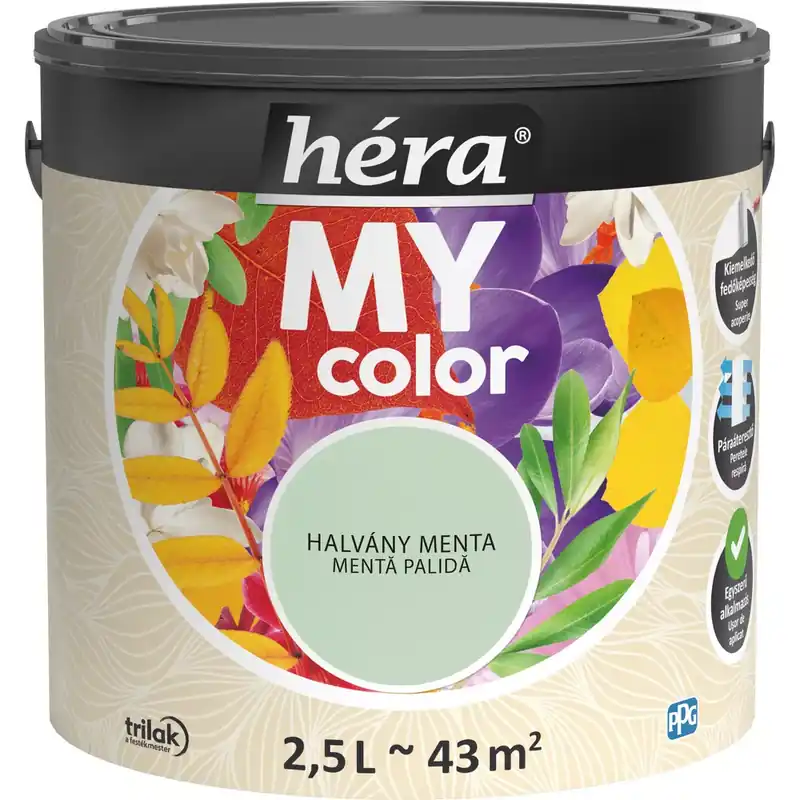 Vásárlói kedvenc Héra My Color matt beltéri falfesték halvány menta színű 2,5l