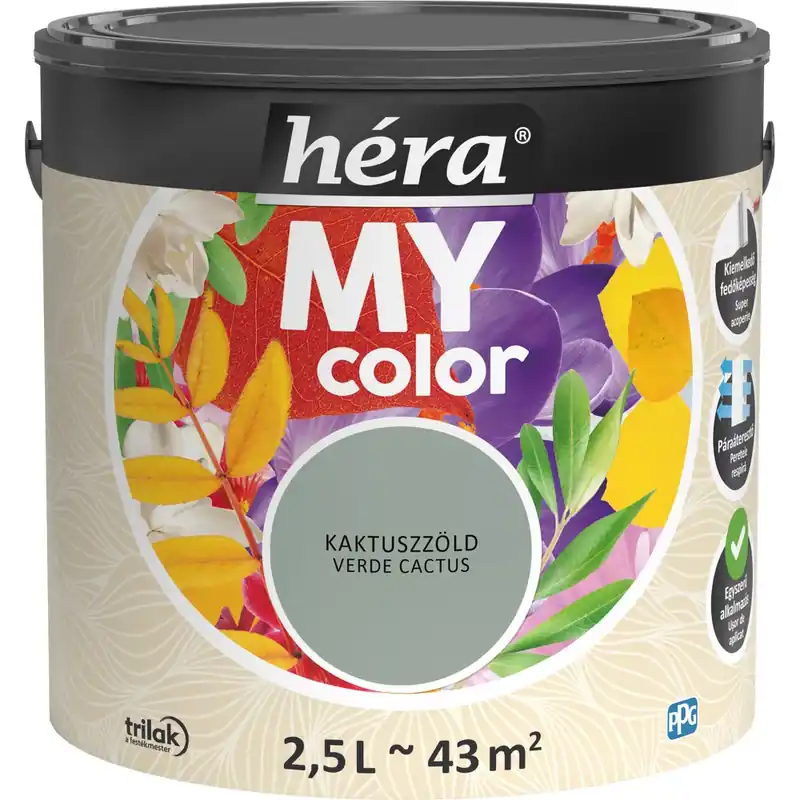 Gyors kiszállítás Héra My Color matt beltéri falfesték kaktuszzöld színű 2,5l