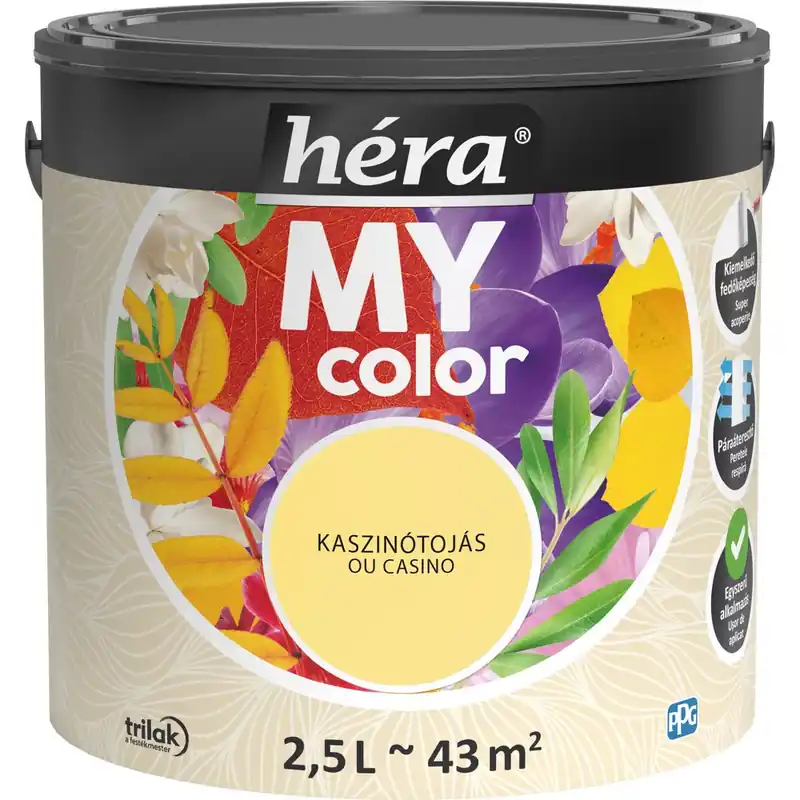Nézd meg most Héra My Color matt beltéri falfesték kaszinótojás színű 2,5l