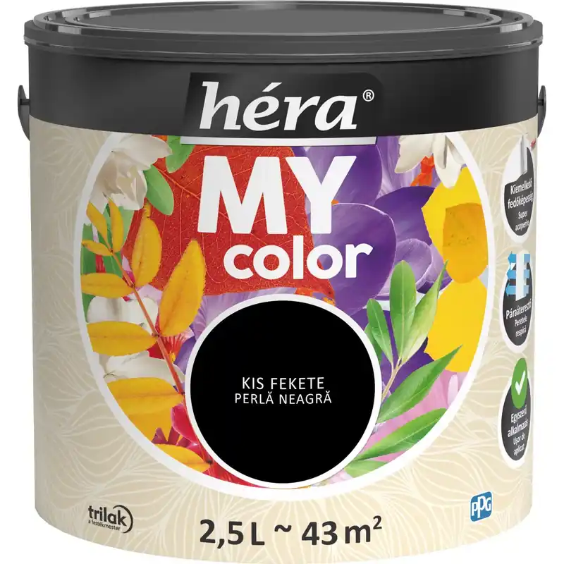 Csak ma Héra My Color matt beltéri falfesték kis fekete színű 2,5l
