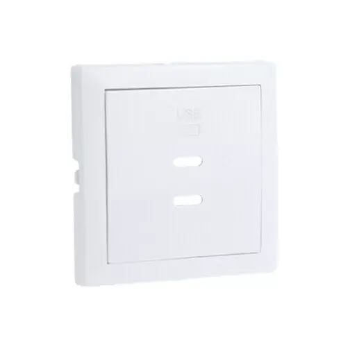 90675_TGE Fedlap dupla töltő aljzathoz (2x USB-C), jég Gyors szállítás