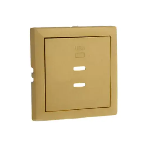 Akció 90675_TDU Fedlap dupla töltő aljzathoz (2x USB-C), arany