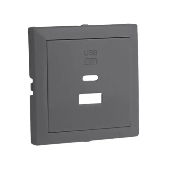 90674_TIS Fedlap dupla töltő aljzathoz (USB-A + USB-C), szürke Újdonság