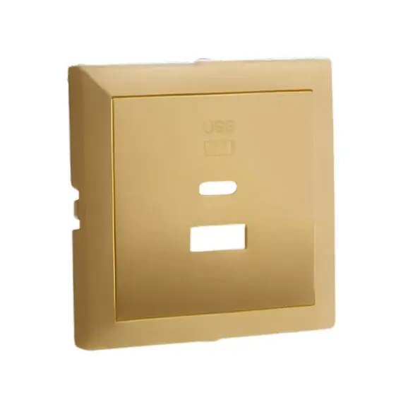 90674_TDU Fedlap dupla töltő aljzathoz (USB-A + USB-C), arany Exkluzív ajánlat