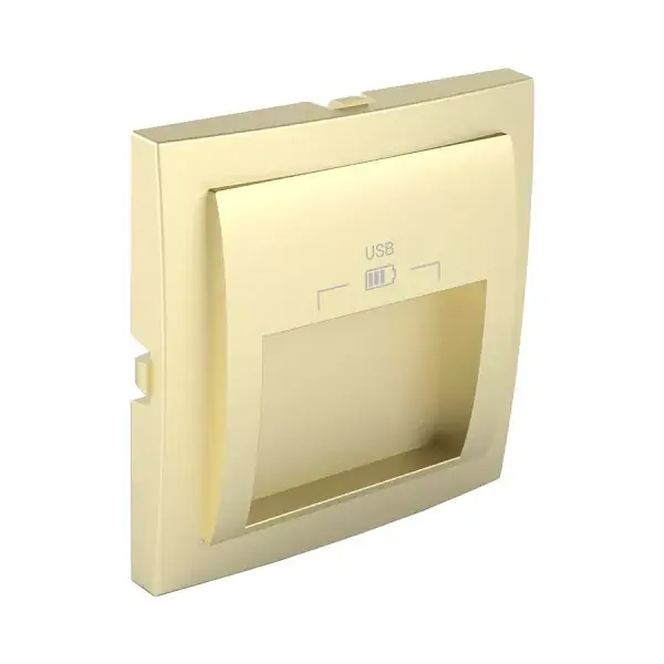 Biztonságos fizetés 90673_TDU Fedlap dupla USB-A aljzathoz (20°-os), arany