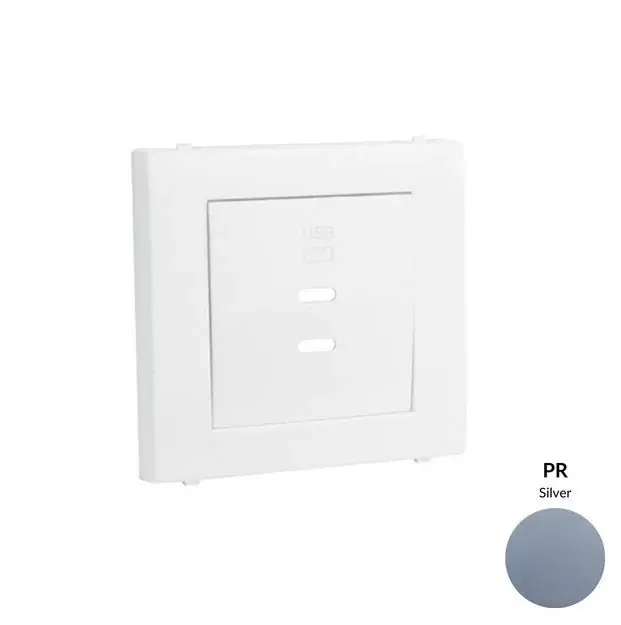 50675_TPR dupla töltő aljzat fedél (2x USB-C), ezüst Utolsó esély