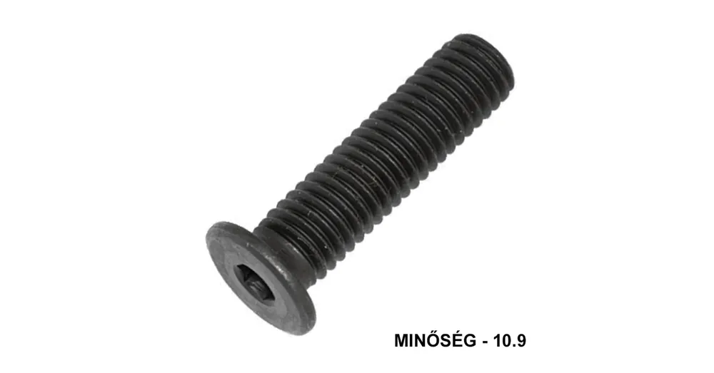 BK HENG. LAPOSFEJŰ M5*10 BN 1206 10.9 NAT. IMPORT Szuper ajánlat