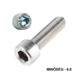 BK HENGERESFEJŰ M6*100 DIN 912 8.8 HG. TM EGYEDI IMPORT Biztonságos fizetés